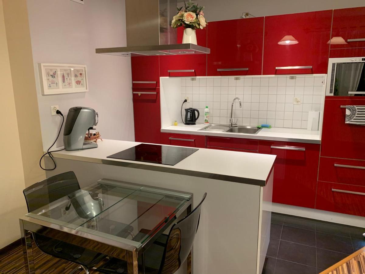 Apartament Podgorna 12 Stary Toruń Esterno foto